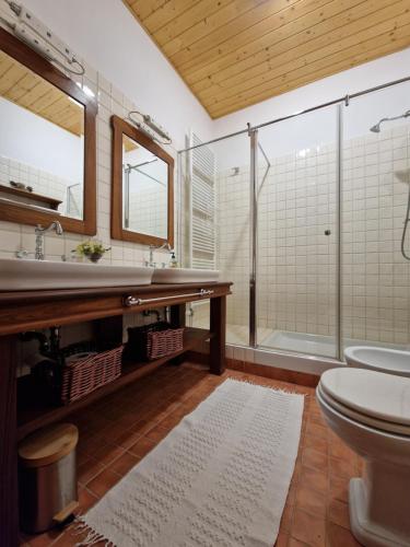 a bathroom with a toilet and a sink and a shower at Vila Bajer in Stari Trg pri Ložu