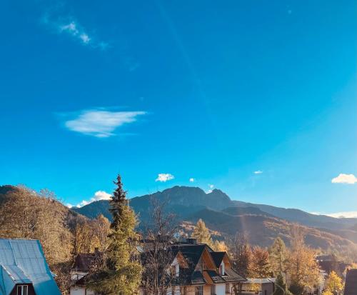 a view of a town with mountains in the background at Apartament U Bartusia in Zakopane