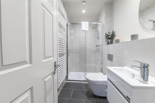 a bathroom with a toilet and a sink and a shower at The Apartments Coniston in Coniston