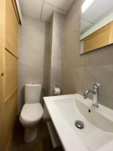 a bathroom with a white toilet and a sink at Initial by balladins, Hôtel Restaurant Broisin in Aix-les-Bains