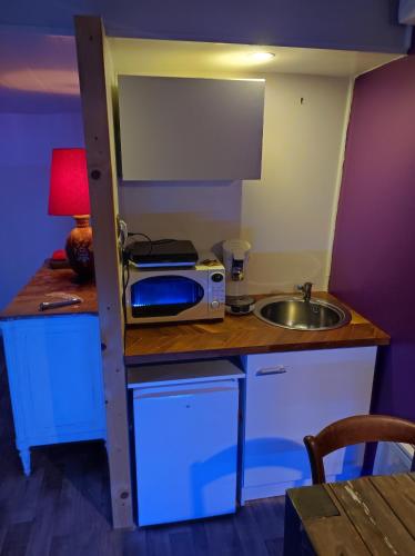 uma pequena cozinha com um lavatório e um micro-ondas em Le Studio Coquin à Royan em Royan