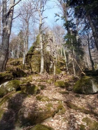 Příroda nedaleko apartmánu