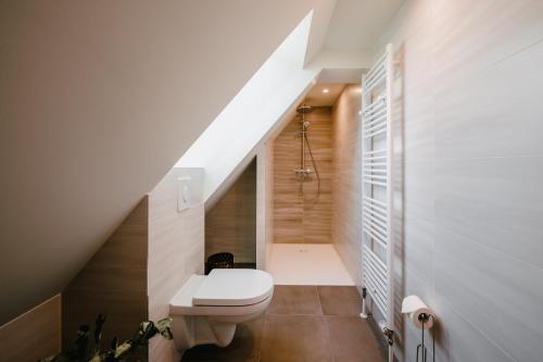 a bathroom with a toilet and a shower in a staircase at Résidence Les Charmes in Boofzheim