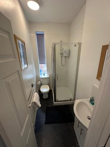 a bathroom with a shower and a toilet and a sink at Winter Gardens Flat 2 - Studio in Blackpool
