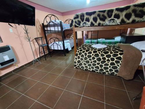 a bedroom with bunk beds and a tiled floor at Backpacker Oruro in Oruro