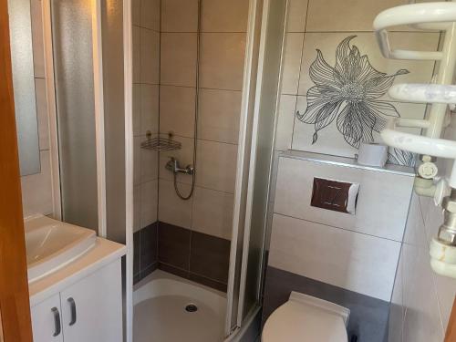 a bathroom with a shower with a toilet and a sink at Willa Stenia Apartamenty in Wisła