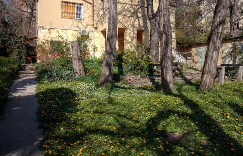 a house with trees and yellow flowers in the yard at Birdnest Apartment in Budapest