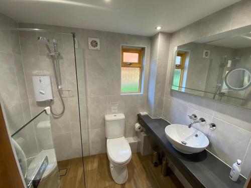 a bathroom with a toilet and a sink and a shower at Nettlebed Farm Holiday Lets Barn3 in Durley