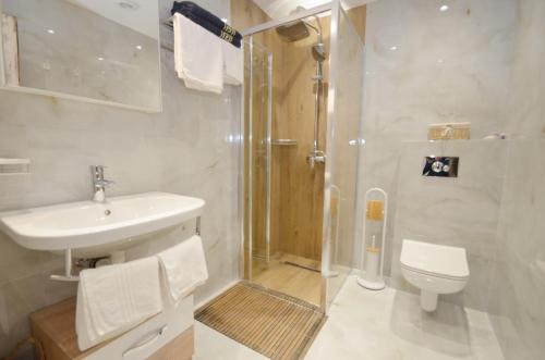 ein Bad mit einer Dusche, einem Waschbecken und einem WC in der Unterkunft DC Apartment D in Kotor