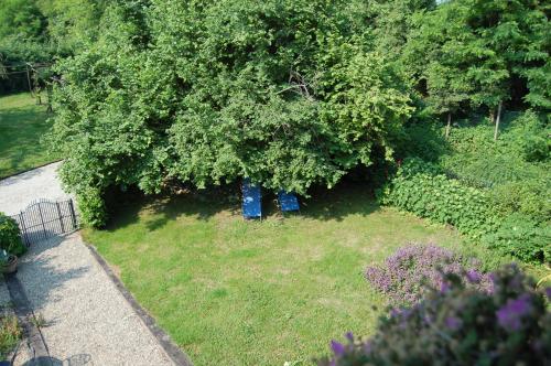 an overhead view of a garden with a tree at Quattrocolli B&B in Quattro Castella
