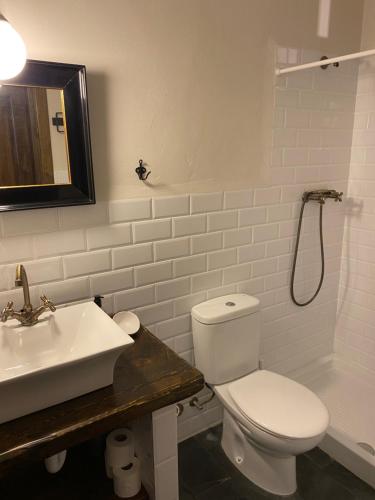 a bathroom with a white toilet and a sink at LA QUINTA DE PUELLES in Ambás
