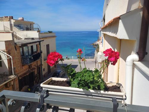 a planter with flowers on a balcony with the ocean at Terra Sinus Beautiful Suite in Terrasini