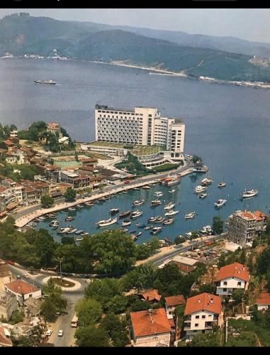 a group of boats in a harbor next to a city at Yeniköy home in Istanbul