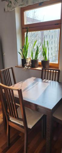 a dining room table with two chairs and plants in a window at Nature in Kraków