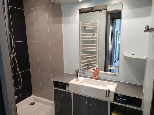 a bathroom with a sink and a shower at T3 PRADO St-GINIEZ in Marseille