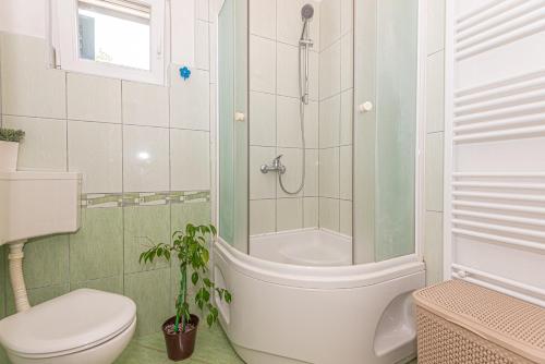 e bagno con doccia, servizi igienici e lavandino. di Villa Mariah with pool near National park Krka a Bilice (Bilizze)