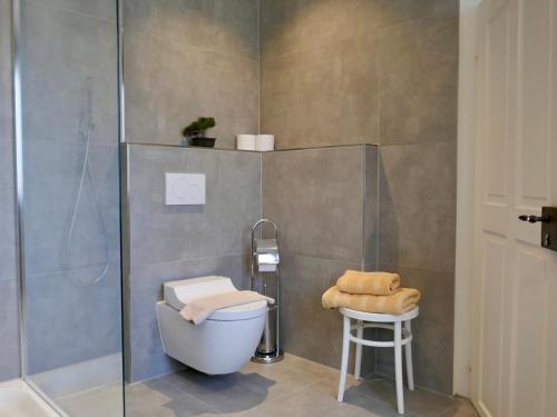 a bathroom with a shower and a toilet and a stool at Ferienwohnung Lindauer Löwe in Lindau