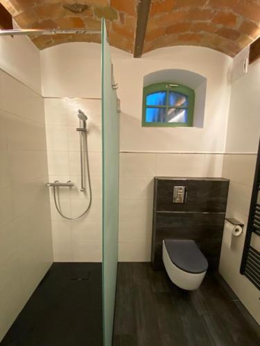 een badkamer met douche, toilet en raam bij Eisern Home 1 in Mittenwalde