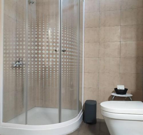 a bathroom with a shower and a toilet at Zeusplace Olympous Riviera Villa 1 in Litochoro