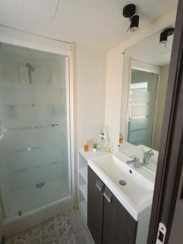 une salle de bain avec un lavabo et une douche en verre dans l'établissement Mobil-home, 3 ch , 6 personnes 800CR, à Le Pont Legé