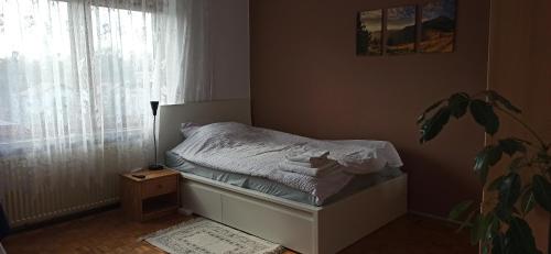 Cama pequeña en un dormitorio con maceta en Pokój blisko centrum en Bielsko-Biala