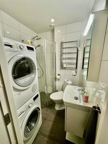 a bathroom with a washing machine and a sink at Cozy And Central Apartment in Gothenburg