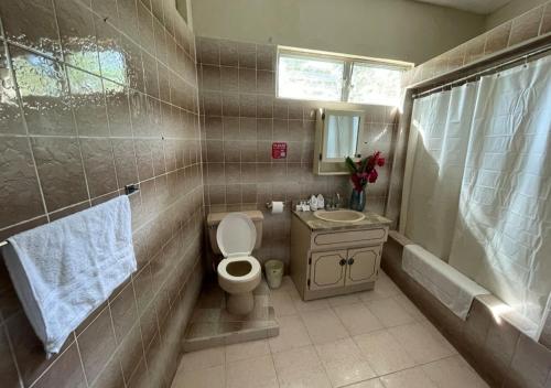 a bathroom with a toilet and a sink at Arnold's Guest House in San Ignacio