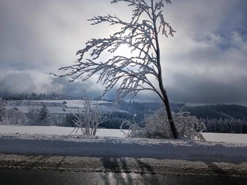 Gallery image of Pension Hubertus in Winterberg