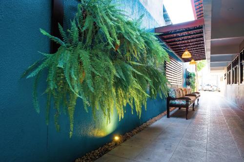a plant hanging from a wall in a hallway at Ayla Praia Hotel Centro Porto Segur in Porto Seguro