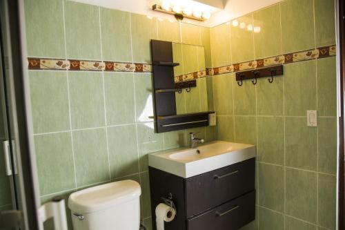 a small bathroom with a toilet and a sink at LA VEGA in Concepción de La Vega