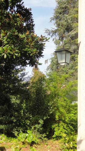Piccola Volpe – Photos 5