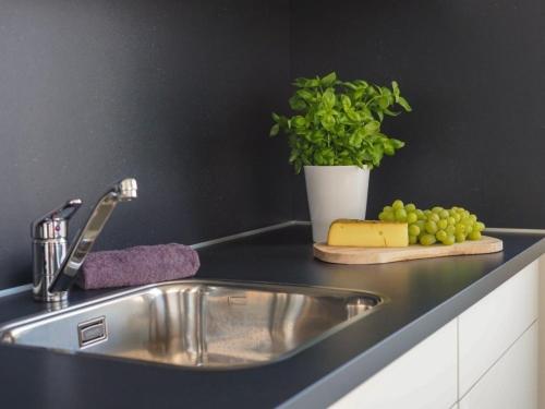 a kitchen sink with a plate of cheese and a plant at Hausboot Krosse Krabbe - LP6 in Peenemünde