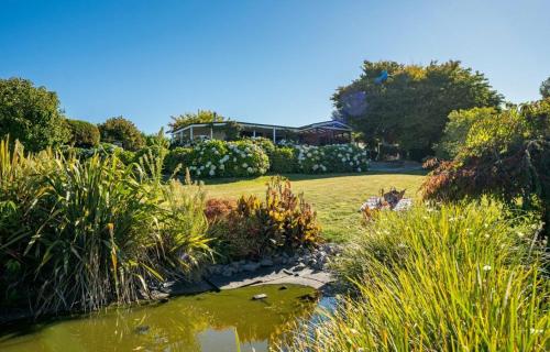 a garden with a pond and some plants at Mountviews Lodge in Taupo