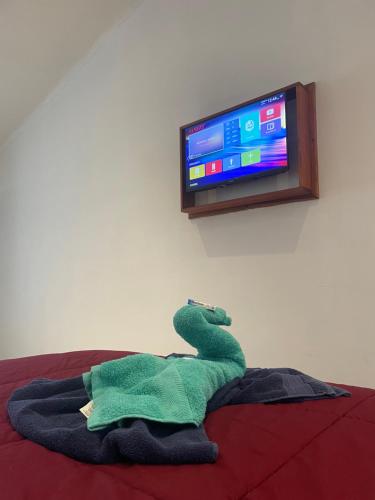 a green dinosaur laying on a bed with a tv at Vista Boquete Apartments in Bajo Boquete