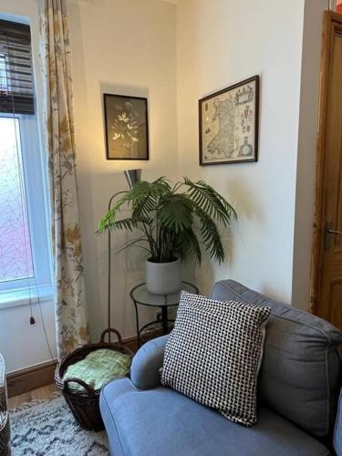 #02 Just the Splott Sleeps 6- 8mins to Stadium - " Perfect for Contractors and Families - Free Parking" photo 12