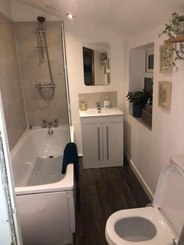 a bathroom with a toilet and a tub and a sink at #02 Just the Splott Sleeps 6- 8mins to Stadium - " Perfect for Contractors and Families - Free Parking" in Cardiff