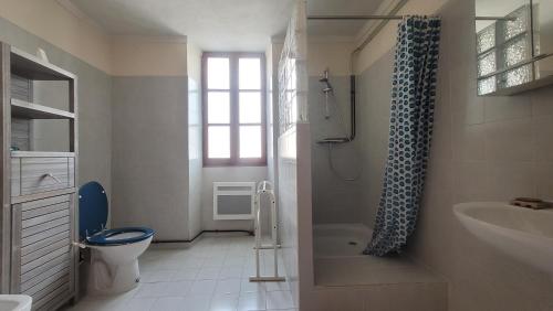 MontayralにあるDomaine des possibles - Equi Homeのトイレ、洗面台、シャワー付きのバスルーム