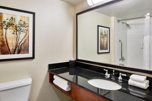 a bathroom with a sink and a mirror at Detroit Metro Airport Marriott in Romulus