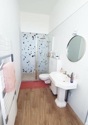 ein Bad mit einer Dusche, einem WC und einem Waschbecken in der Unterkunft Grande chambre avec SDB privée in Bazas