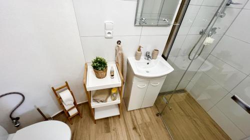 y baño con lavabo y ducha. en U Radnice, byt 6, en Znojmo