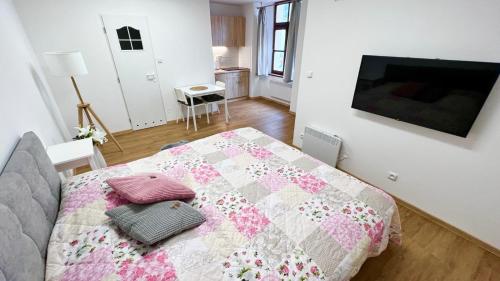 1 dormitorio con 1 cama con 2 almohadas en U Radnice, byt 6, en Znojmo