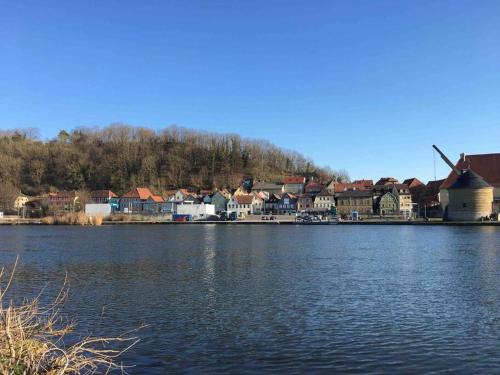 a large body of water with houses and a windmill at Öko Lehmbau direkt am Main in Marktbreit