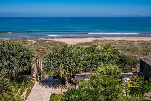 een uitzicht op een strand met palmbomen en de oceaan bij Casa Vacanze Mare Dorato in Alcamo Marina