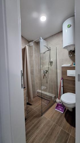 a bathroom with a shower and a toilet at Apartman Marković - Milmari welnes & spa resort Kopaonik in Kopaonik