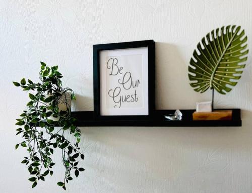 a shelf with a picture and a plant on a wall at 3 BDR House ,Free Parking ,Netflix ,WiFi, baby Cot upto 2yrs in Manchester