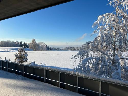 um campo coberto de neve com uma cerca e árvores em Ferienwohnung Bodenseeblick Nr 9 em Scheidegg