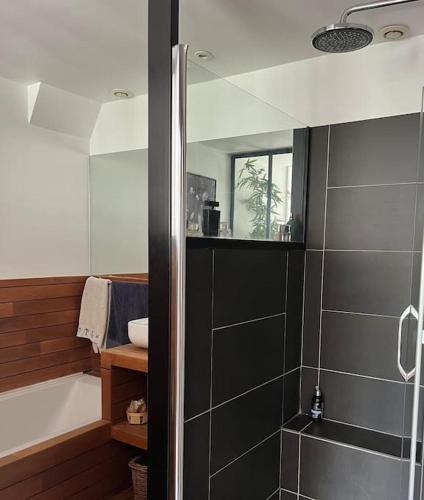 une salle de bain avec une douche, un lavabo et une baignoire dans l'établissement Le PARADIS Joli cocon bien agencé avec terrasse traversante, à Boulogne-Billancourt