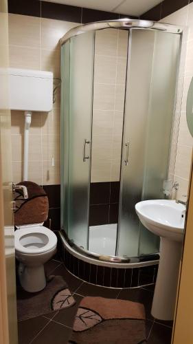 uma casa de banho com um chuveiro, um WC e um lavatório. em Apartmani Kesten-Vrnjačka Banja em Vrnjačka Banja