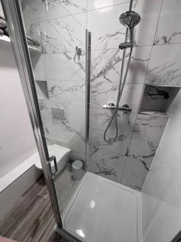 a shower with a glass door in a bathroom at Priory park view in Southend-on-Sea