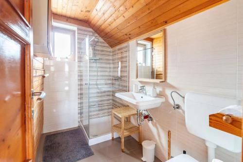 uma pequena casa de banho com um lavatório e um chuveiro em Holiday Home Bela em Bohinjska Bela